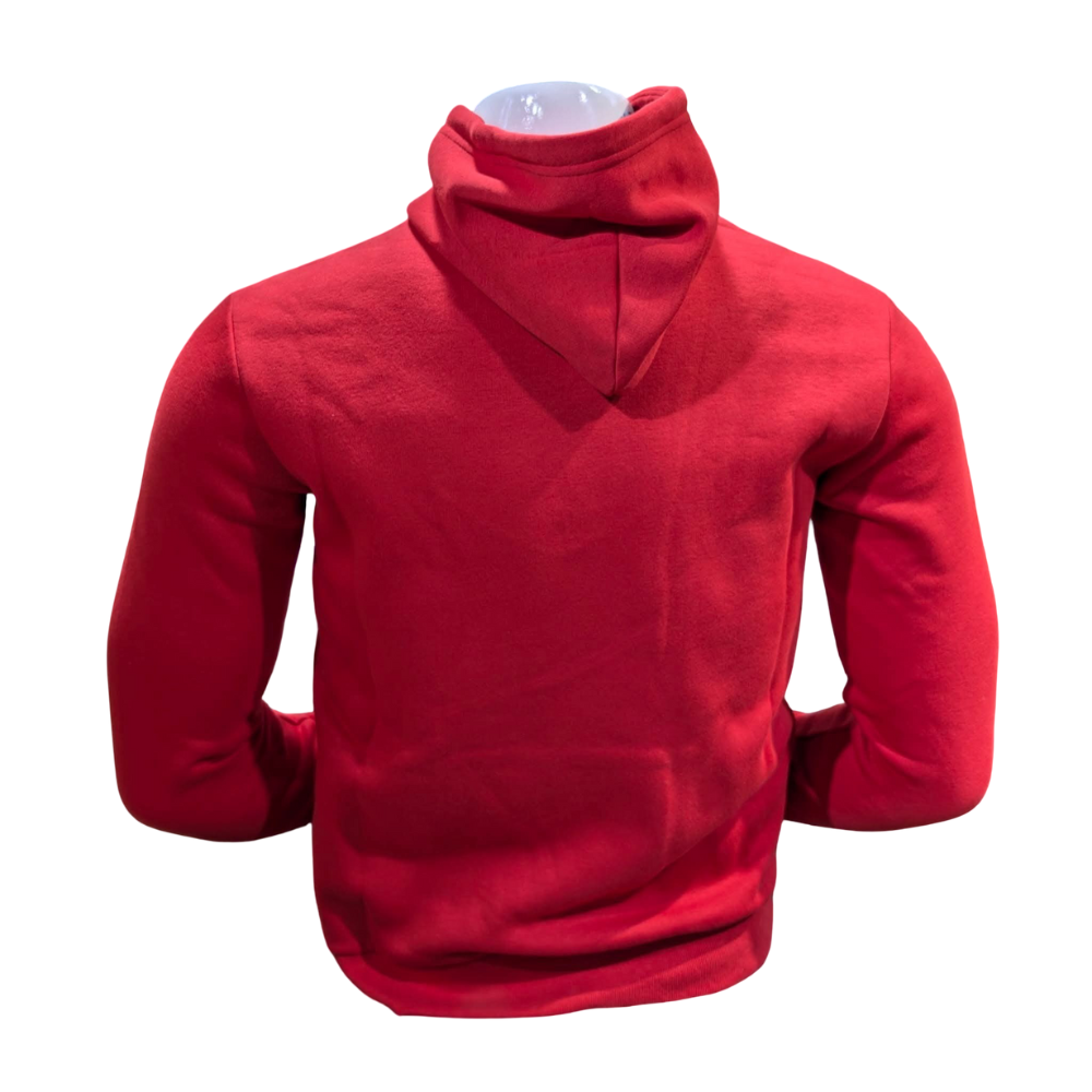 CHAMPION HOODY