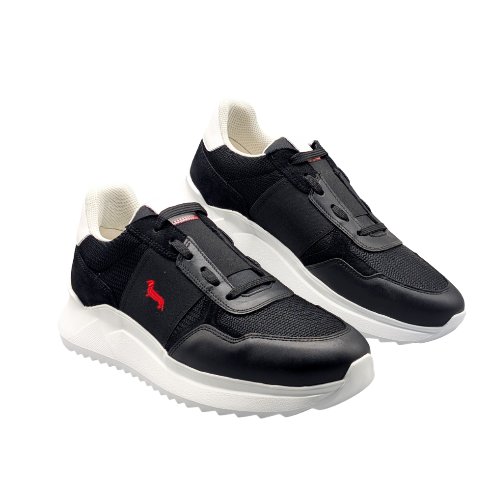 HARMONT ET BLAINE CALF NERO